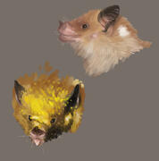 bats bats