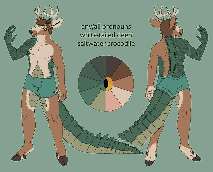 Reference sheet with one add-on element (back view)