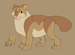 clean stylized clean stylized