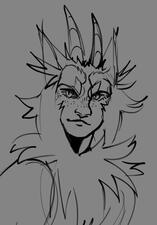 bust bust